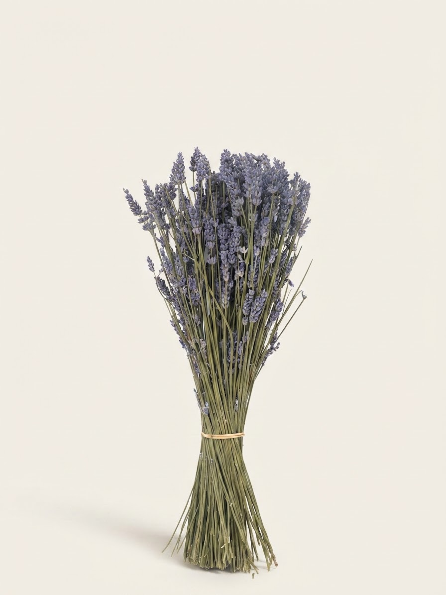 Dry Lavender