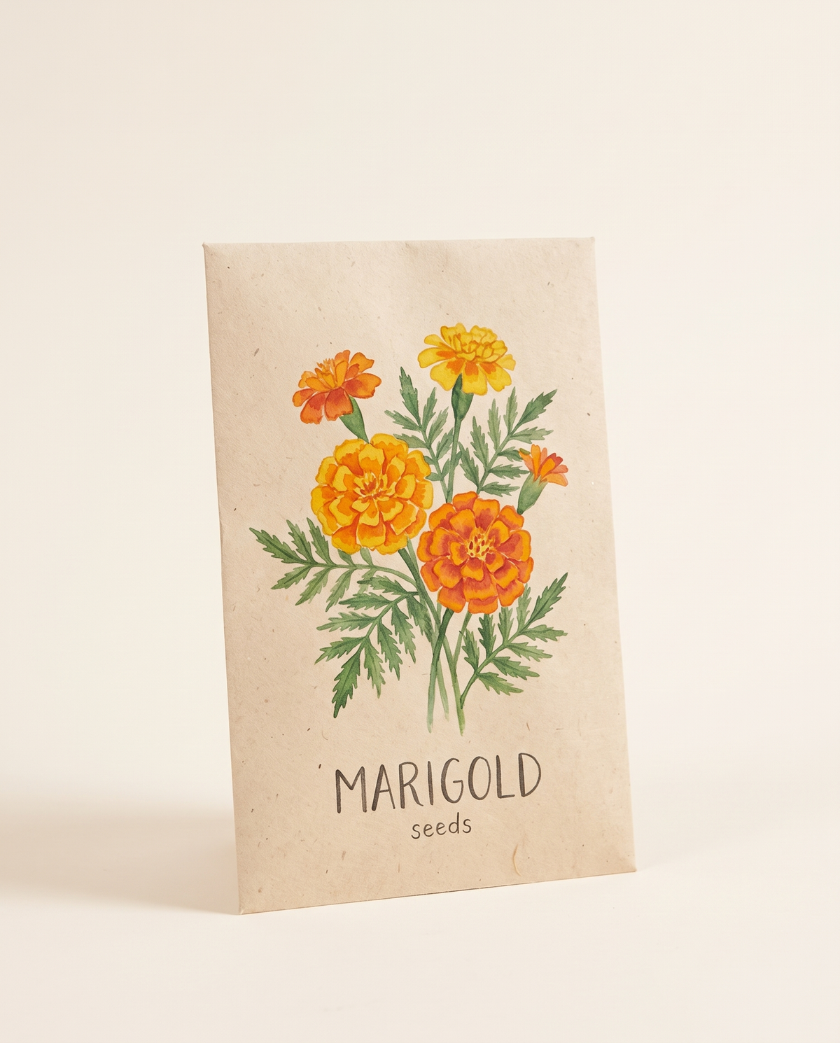 Marigold ماري جولد