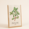 Purslane رجلة