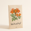 African Tulip Tree Seeds 25 Seeds بذور شجرة الخزامى الأفريقية (25 بذرة)