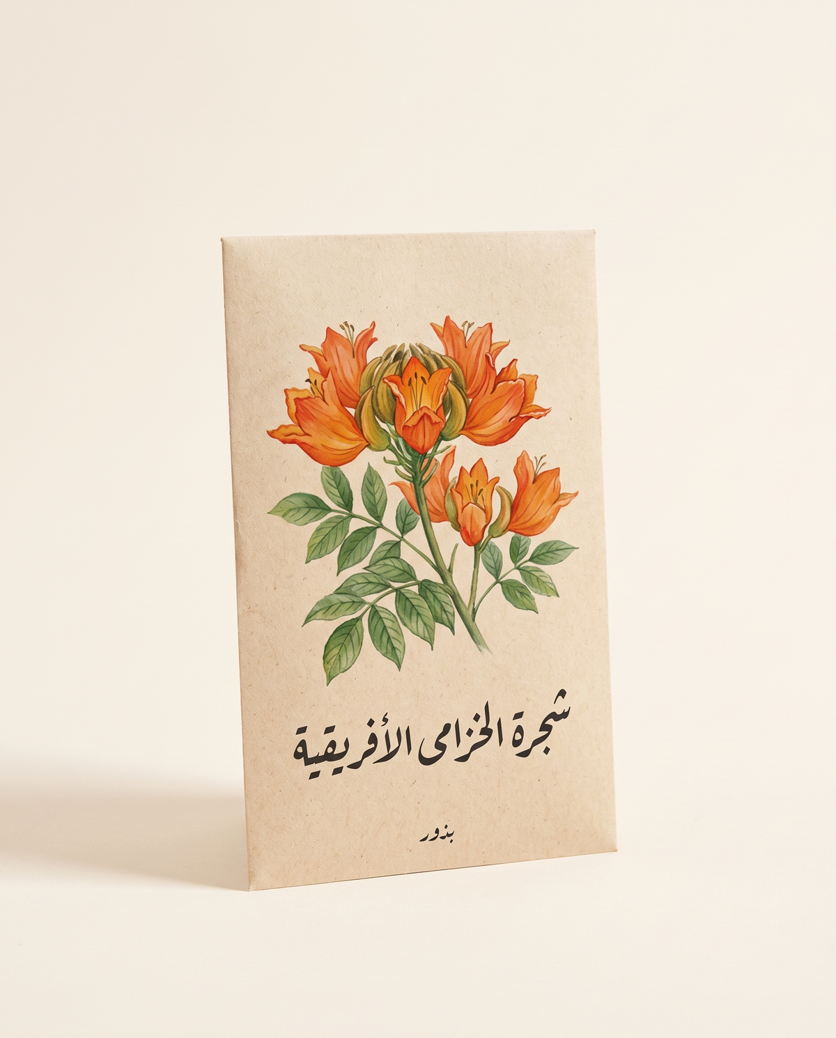 African Tulip Tree Seeds 25 Seeds بذور شجرة الخزامى الأفريقية (25 بذرة)