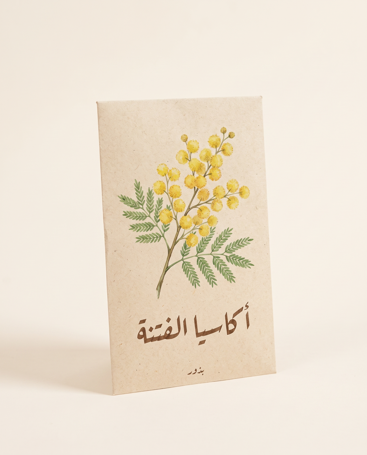 Acacia farnesiana Seeds 20 Seeds بذور أكاسيا الفتنة (20 بذرة)