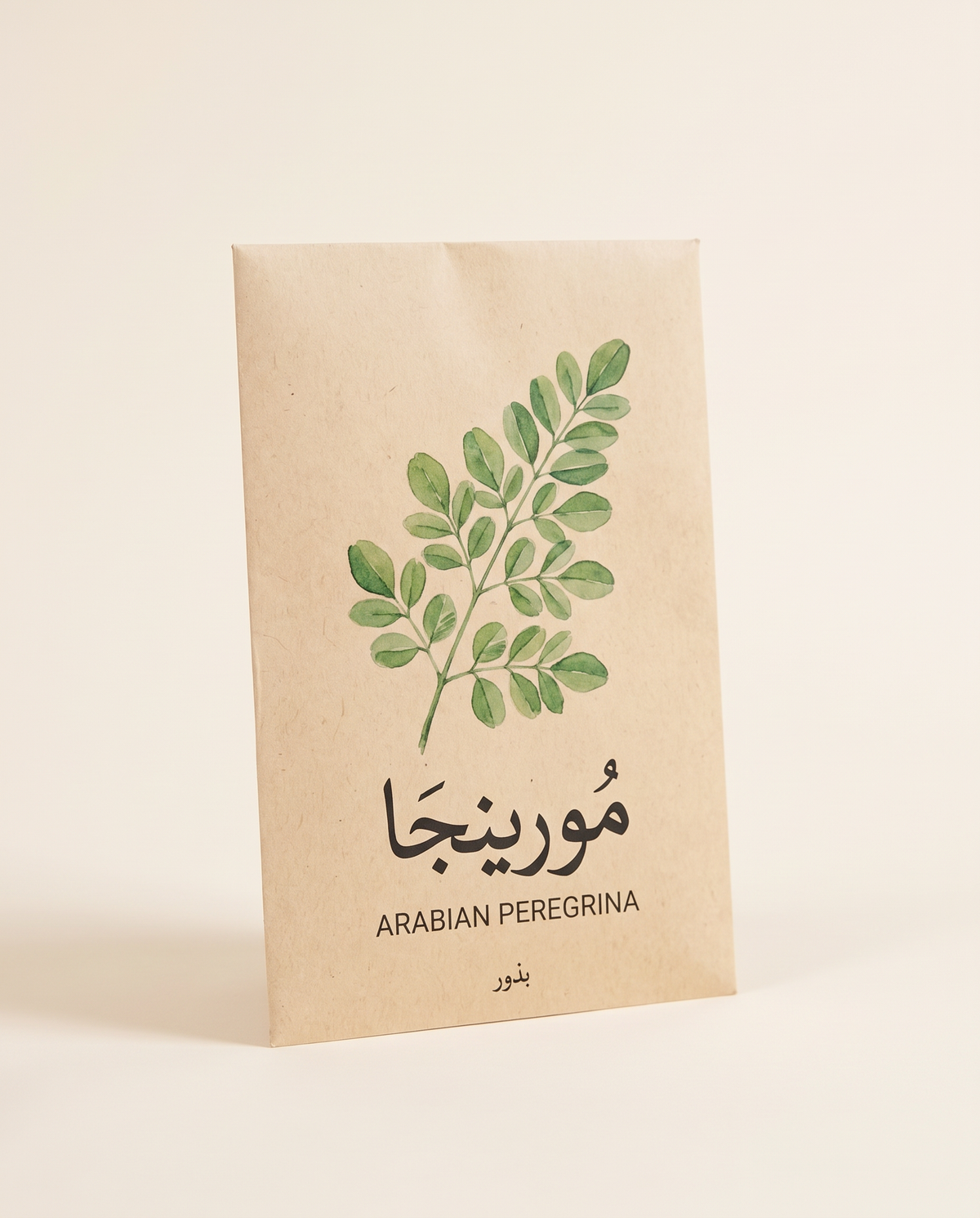 Arabian Moringa peregrina Seeds 20 Seeds