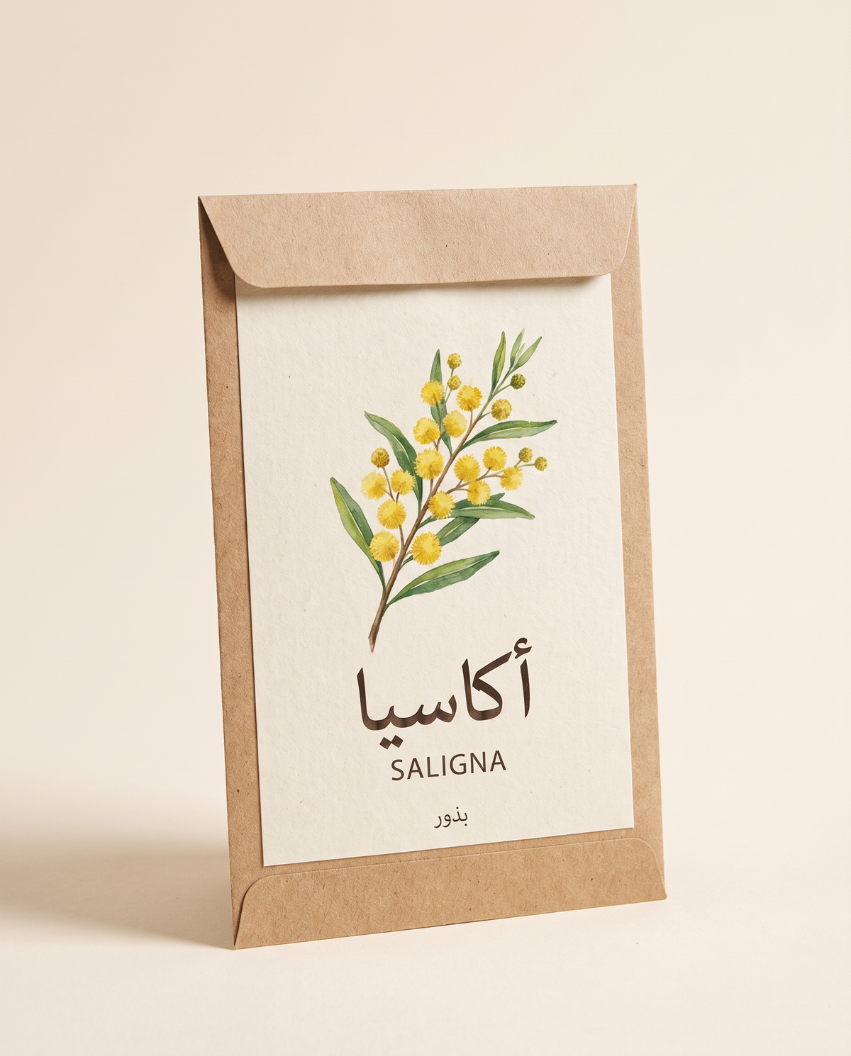 Acacia saligna Seeds 15 Seeds بذور اكاسيا ساليجنا (15 بذرة)