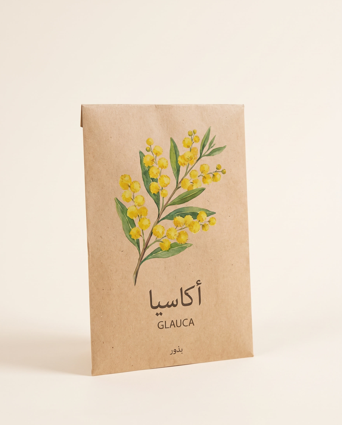 Acacia Glauca Tree Seeds 10 Seeds شجرة اكاسيا جلوكا (10) بذور