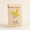 Acacia auriculiformis Tree Seeds 15 Seeds بذور شجرة أكاسيا أوريكو ليفورمس (15 بذرة)