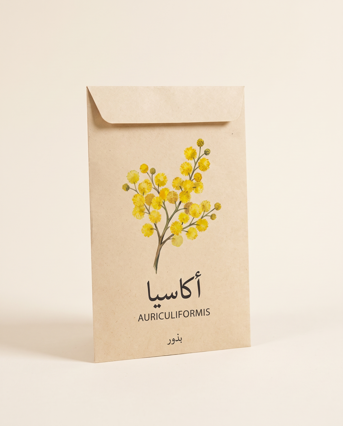Acacia auriculiformis Tree Seeds 15 Seeds بذور شجرة أكاسيا أوريكو ليفورمس (15 بذرة)