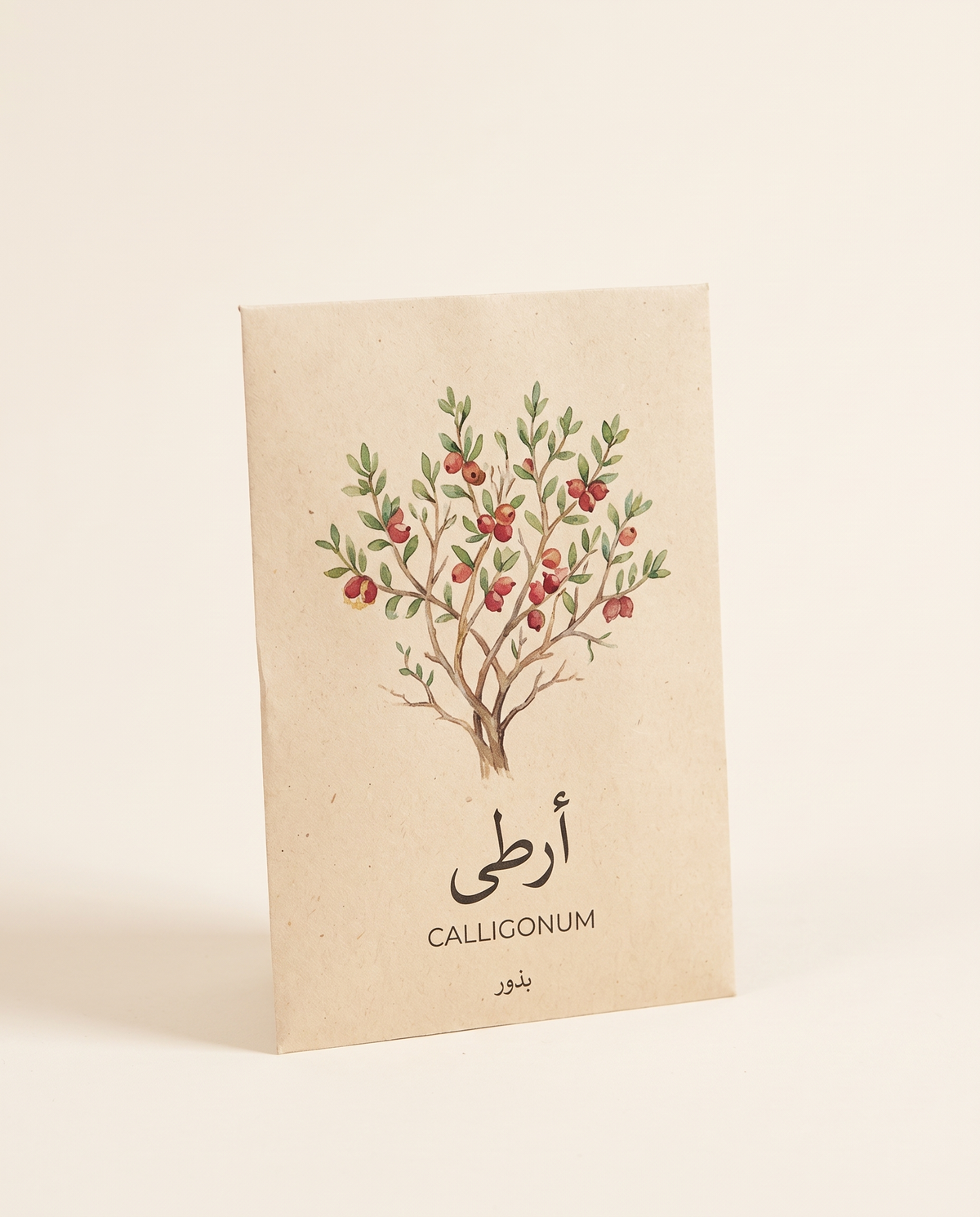 Arta Calligonum Desert Shrub Seeds 25 Seeds