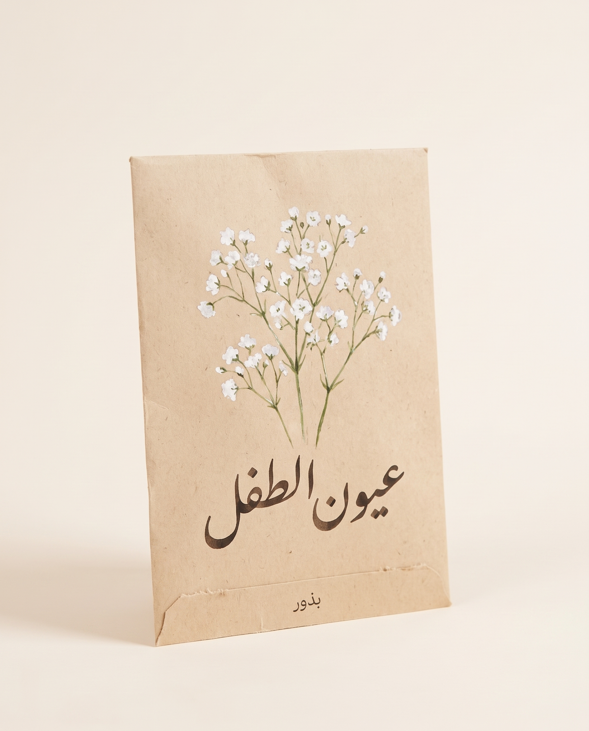 Baby's Breath Gypsophila Seeds 50+ Seeds