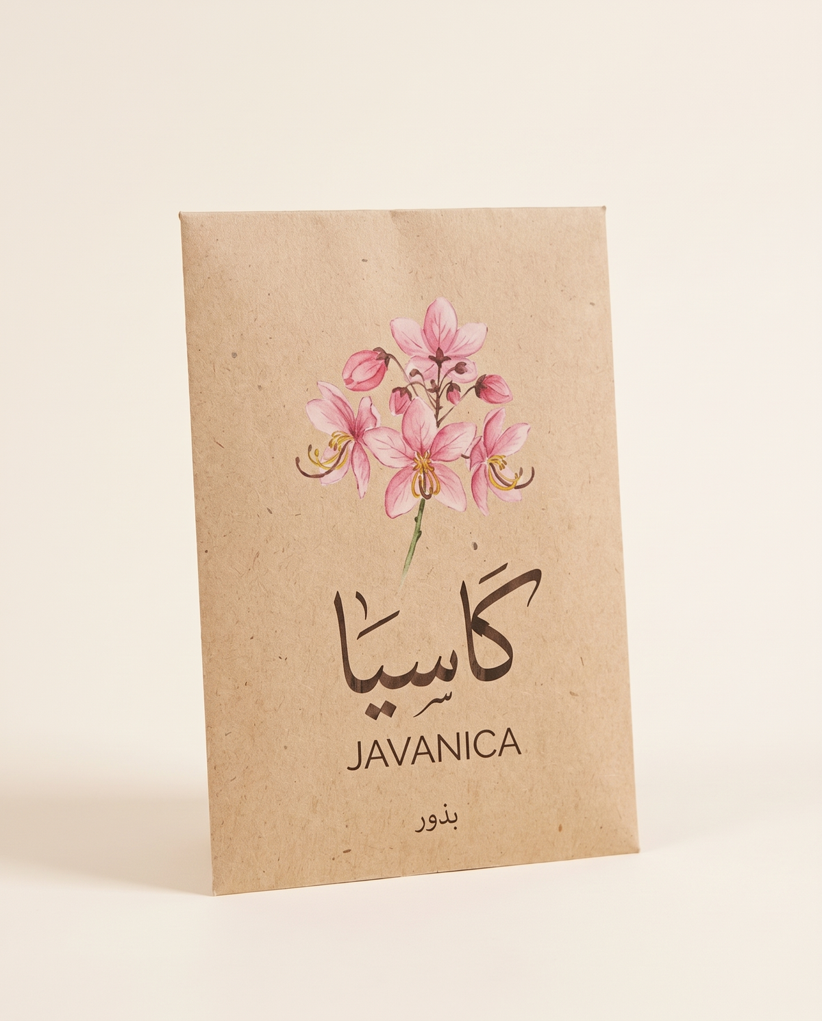 Cassia javanica Tree Seeds 10 Seeds