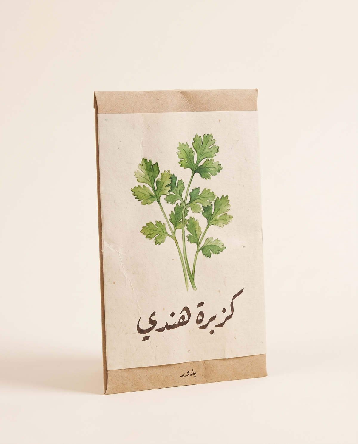 Coriander Seeds Indian 15 g
