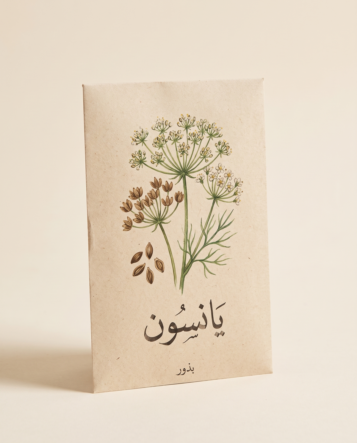 Anise Seeds بذور يانسون