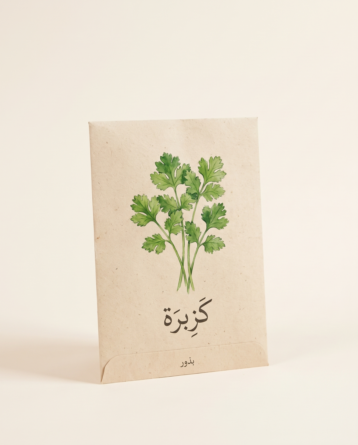 Coriander Seeds English