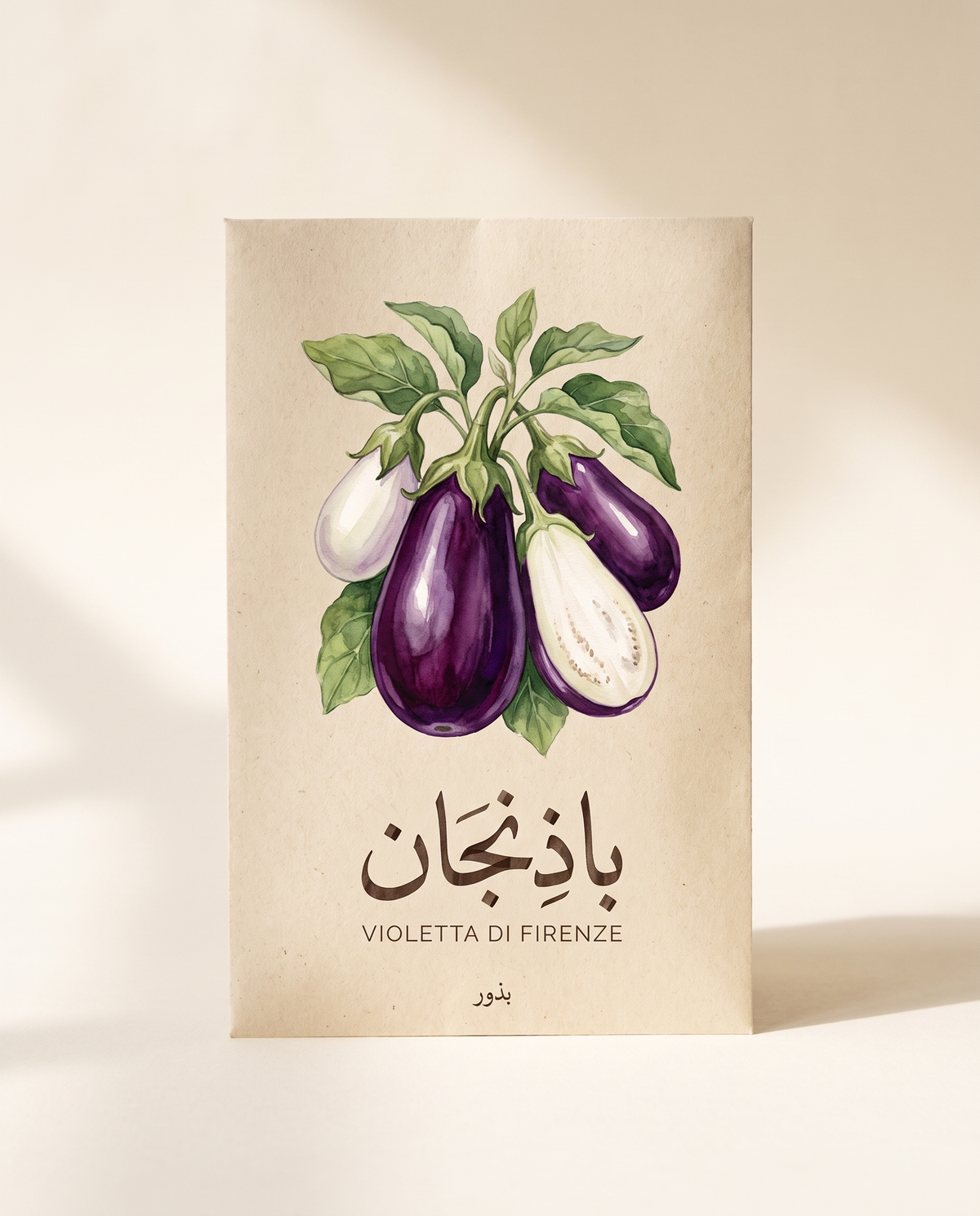 Eggplant Violetta di Firenze Seeds