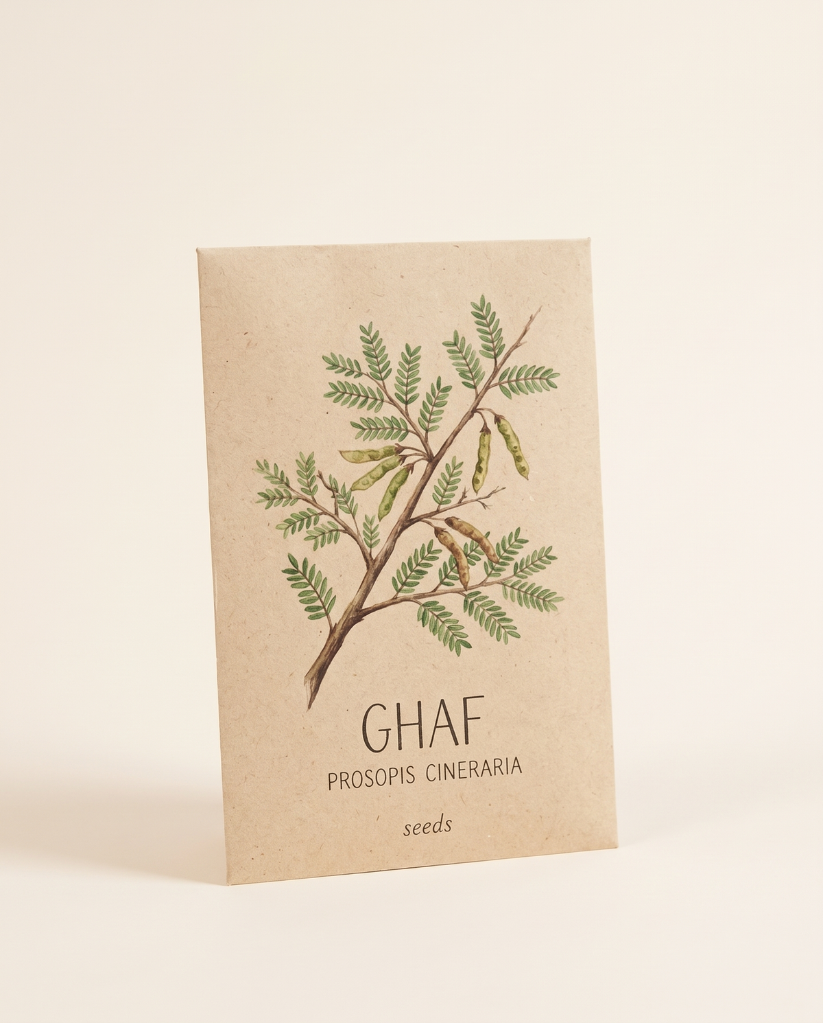 Ghaf Prosopis cineraria Tree Seeds 25 Seeds