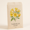 Golden Tabebuia Tree Seeds 10 Seeds