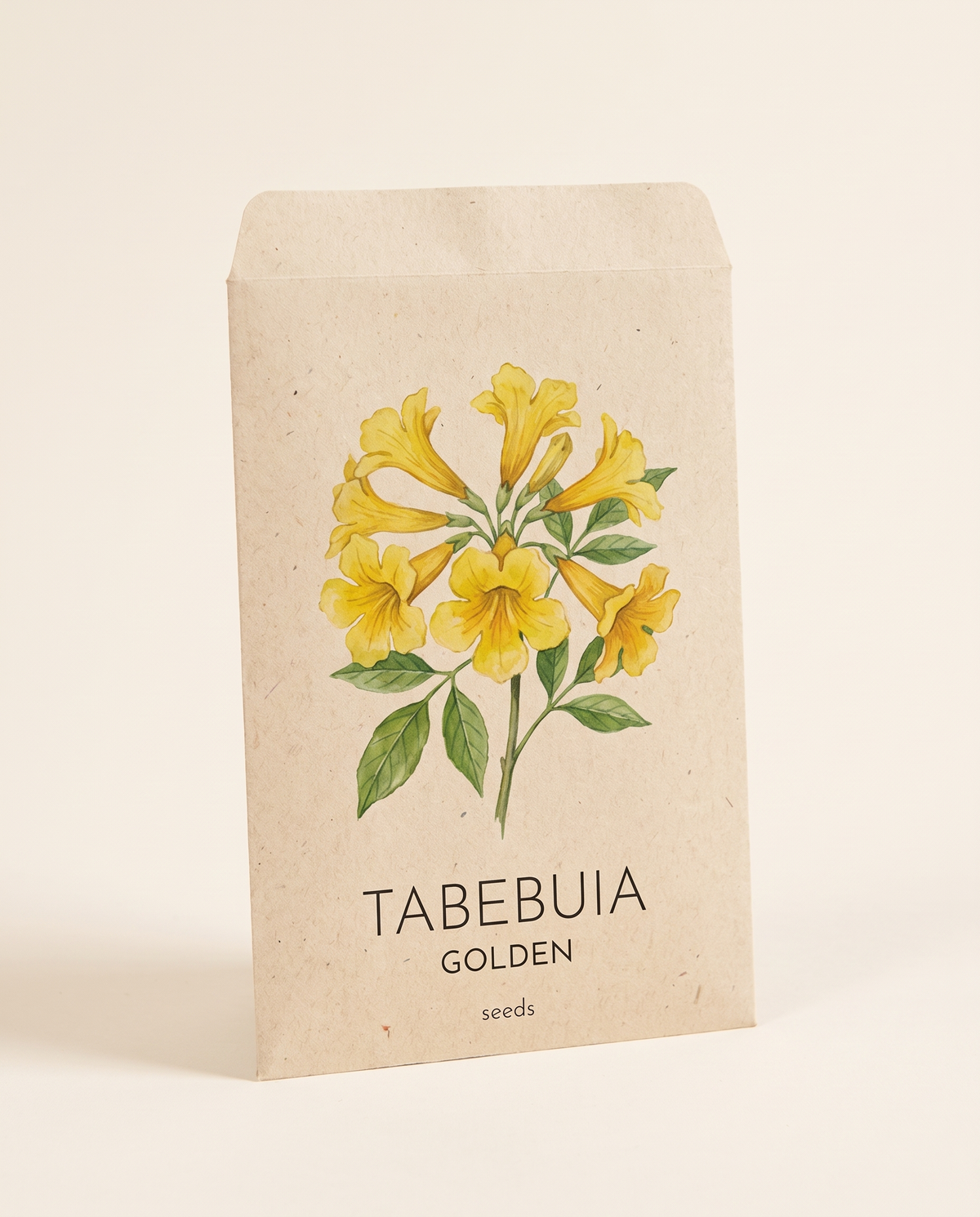 Golden Tabebuia Tree Seeds 10 Seeds