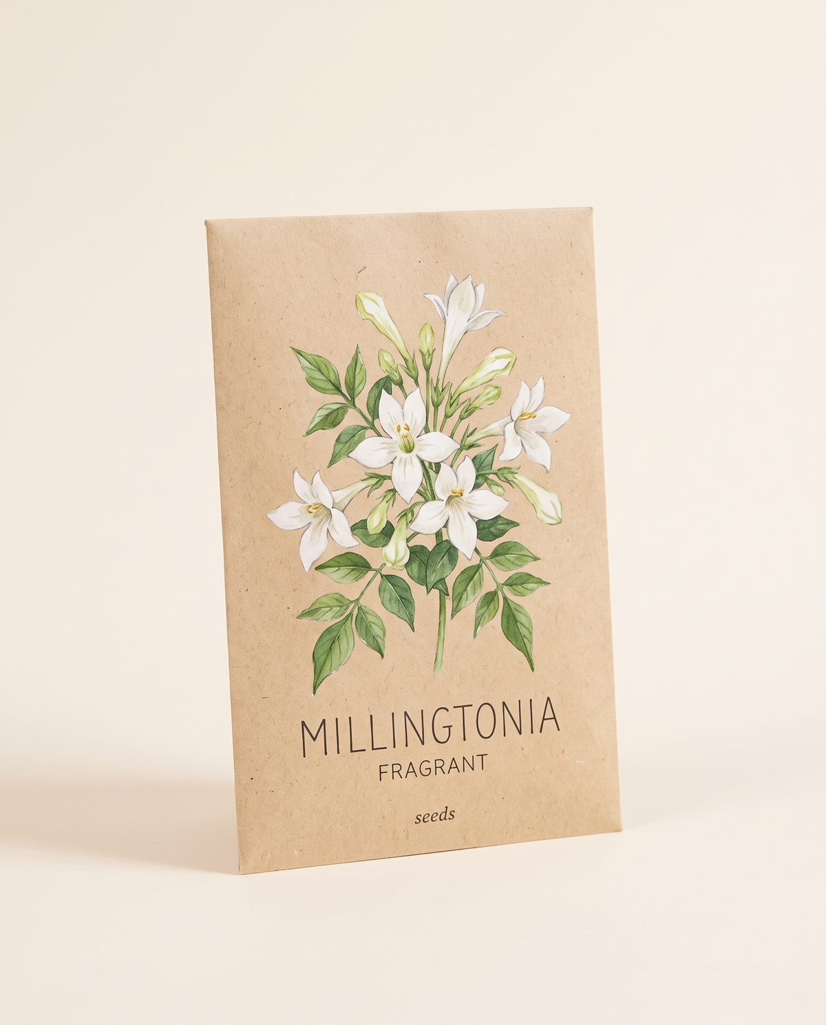 Fragrant Millingtonia Tree Seeds 15 Seeds