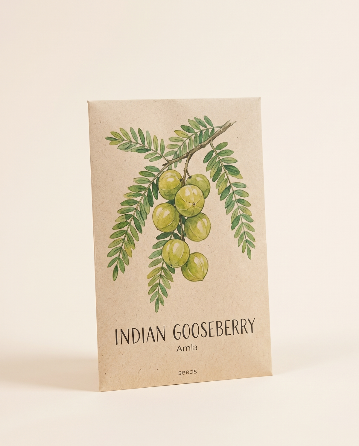 Indian Gooseberry Amla Tree Seeds 15 Seeds