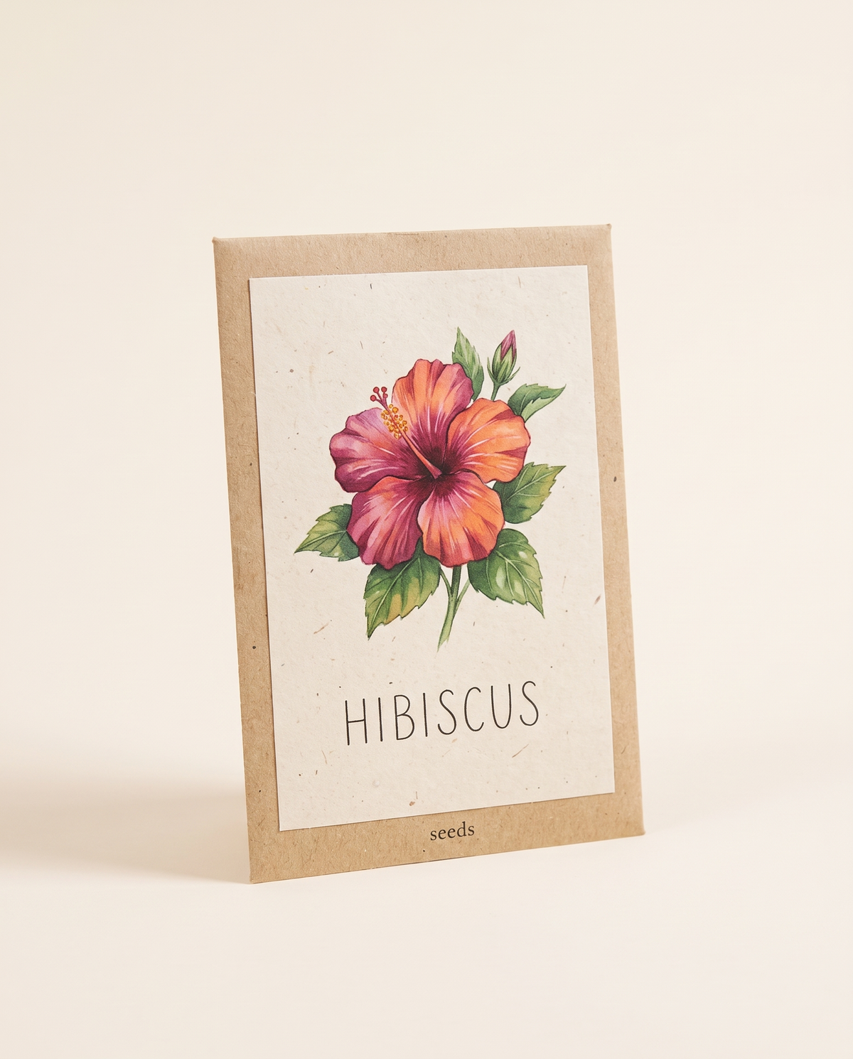 Hibiscus Shrub Seeds 25 Seeds