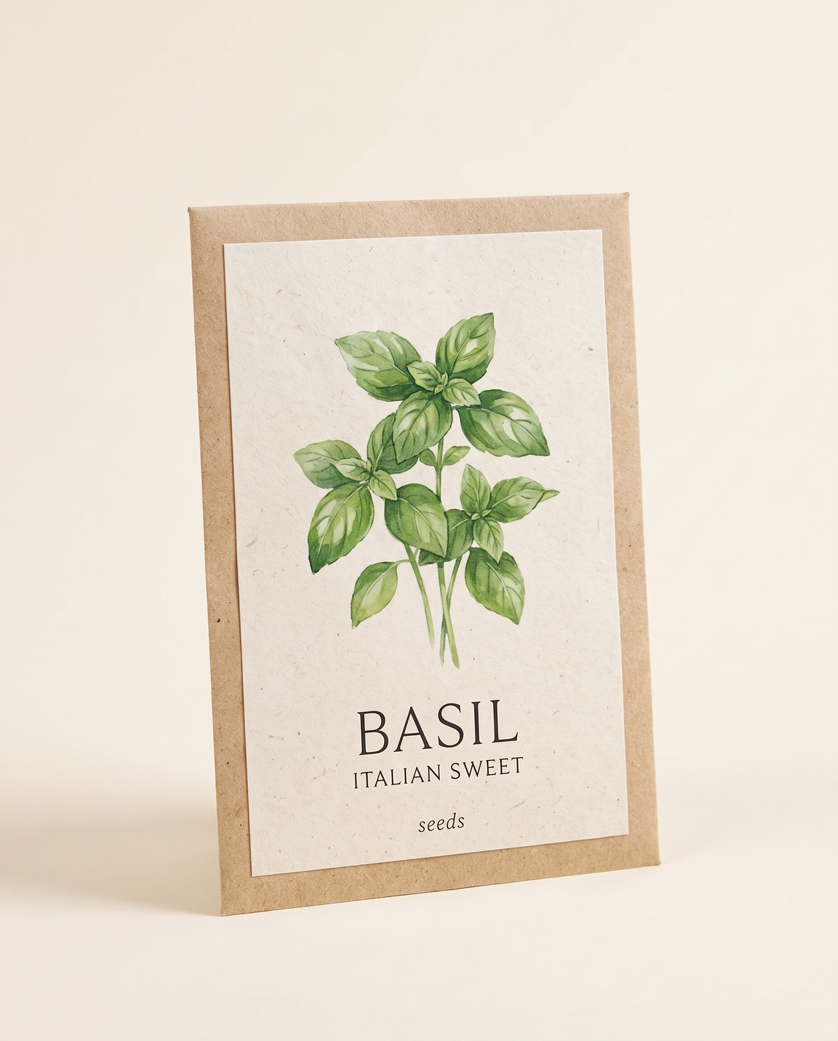 Italian Sweet Basil Seeds 50 Seeds