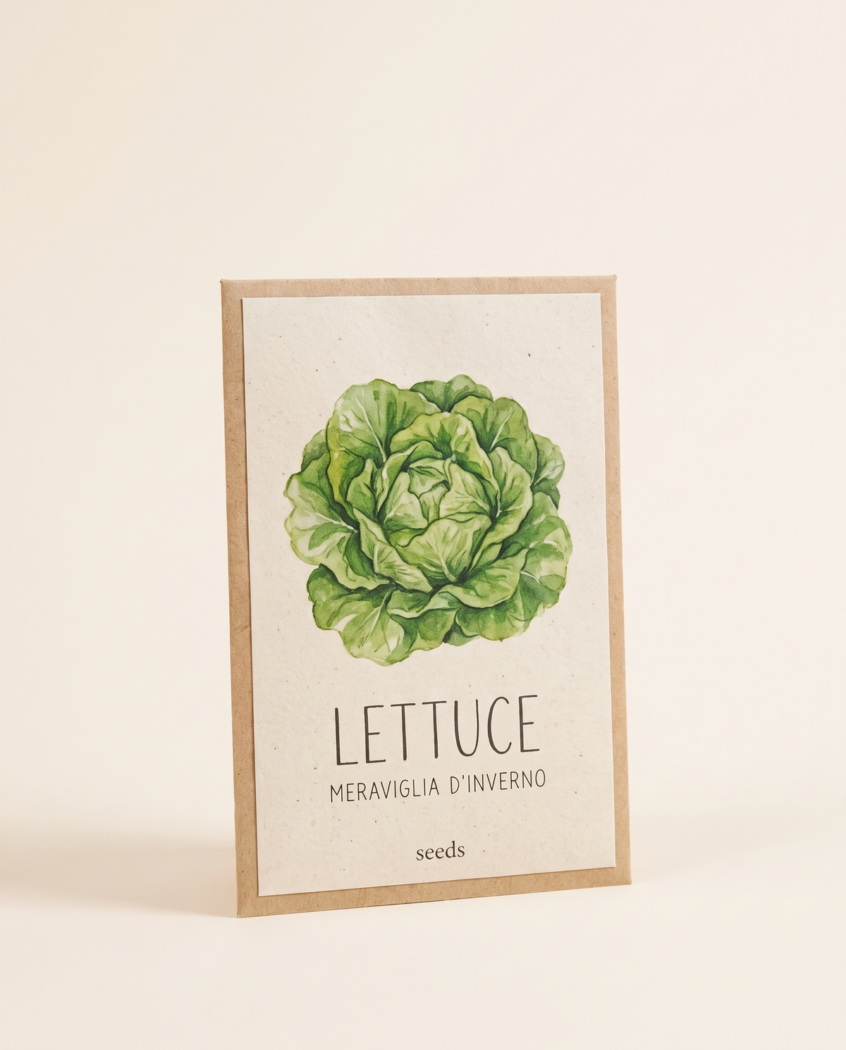 Lettuce Meraviglia dInverno Seeds