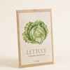 Lettuce Iceburg Crisphead