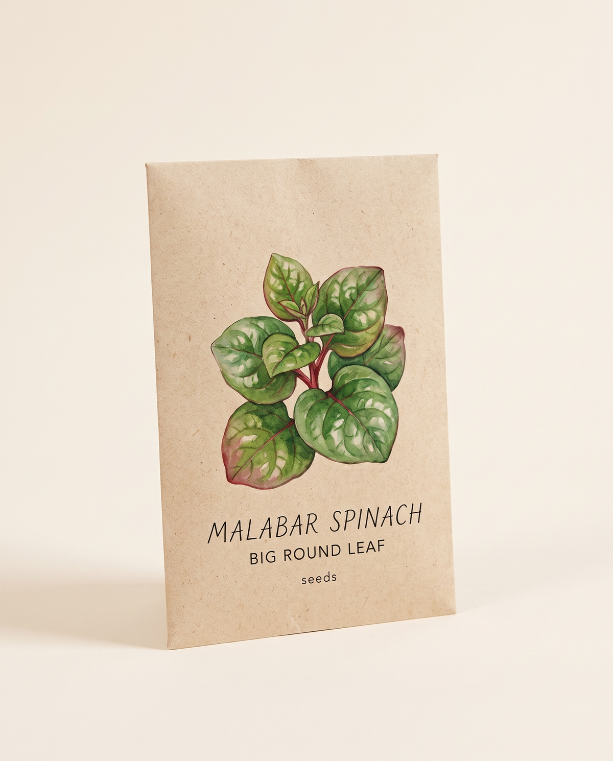 Malabar Spinach Big Round Leaf
