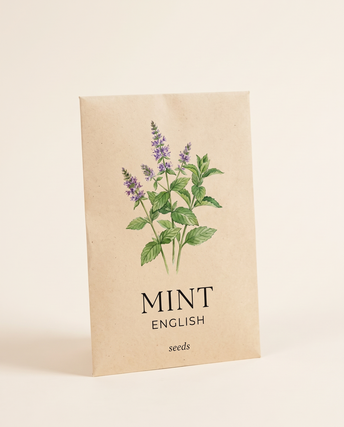 Mint Seeds English