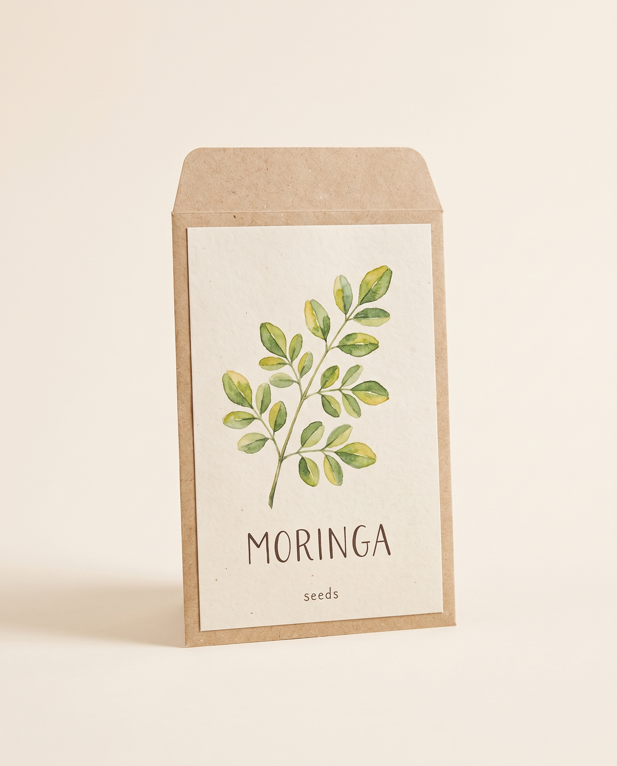 Moringa Tree Seeds 10 Seeds