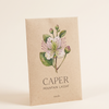Mountain Caper Lassaf Seeds 20 Seeds