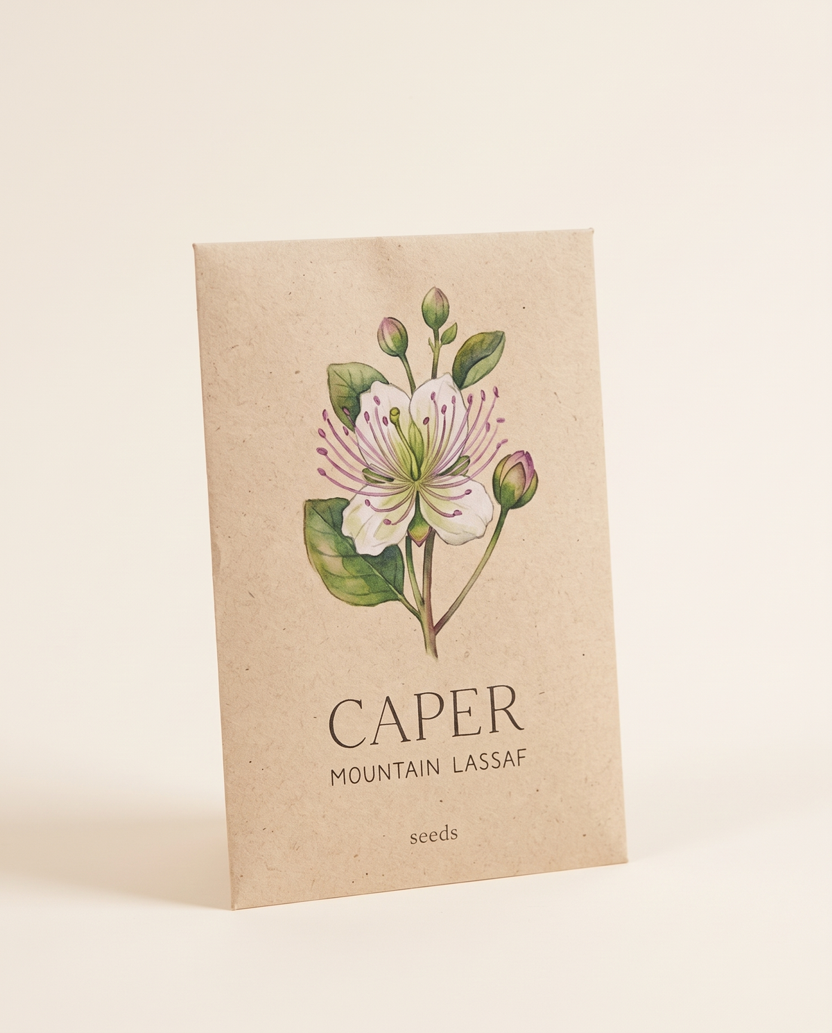 Mountain Caper Lassaf Seeds 20 Seeds