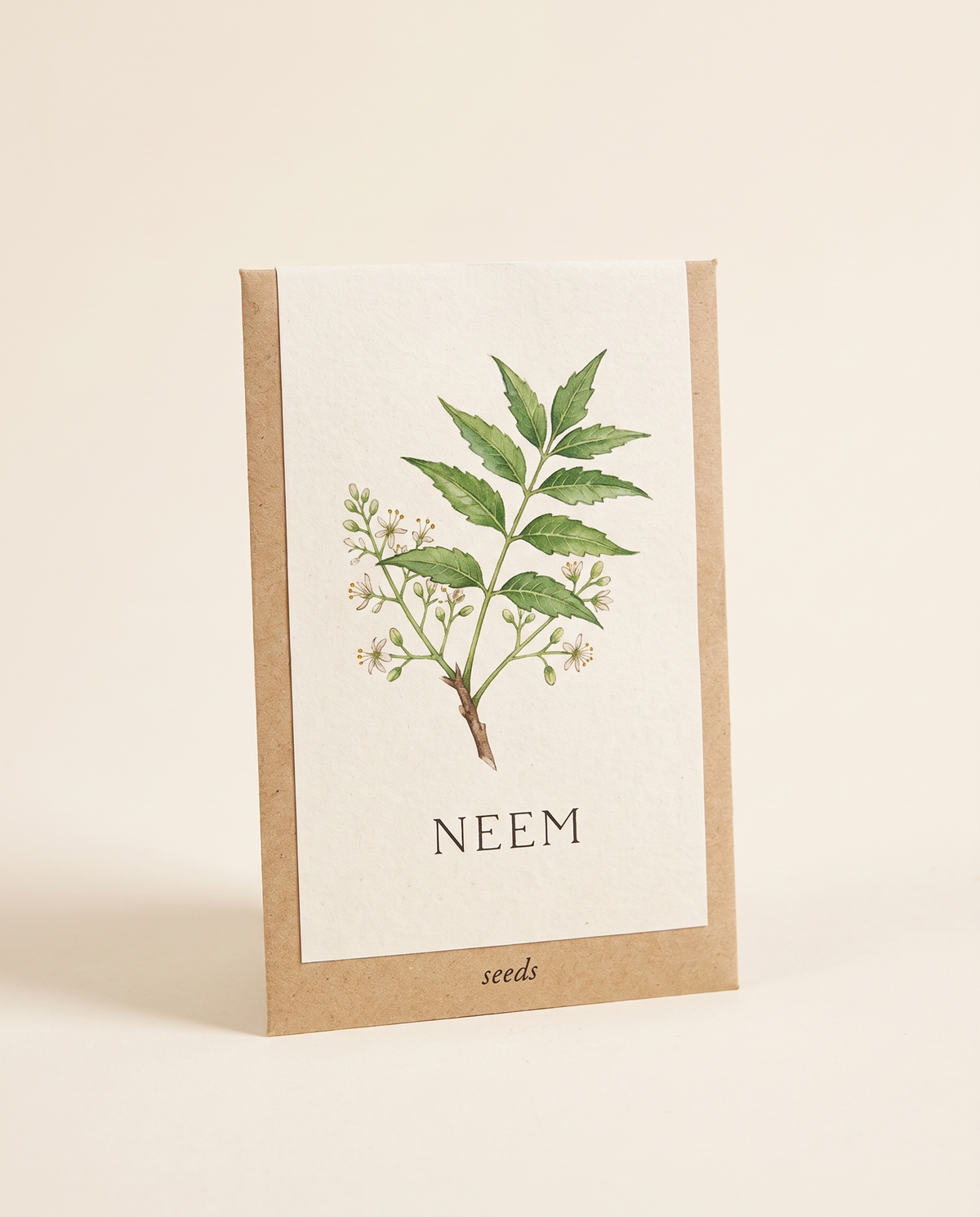 Neem Tree Seeds 20 Seeds