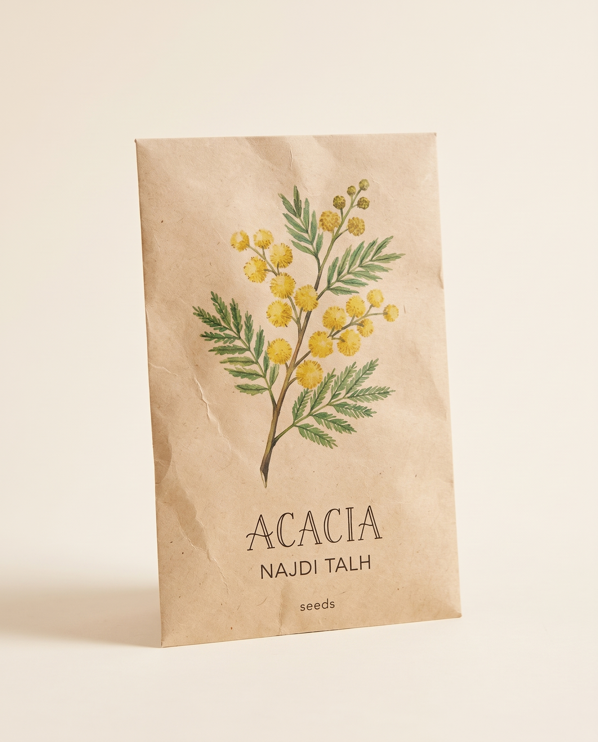 Najdi Acacia Talh Seeds 20 Seeds