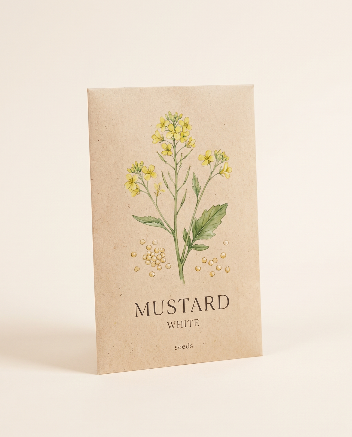 Mustard Seeds White