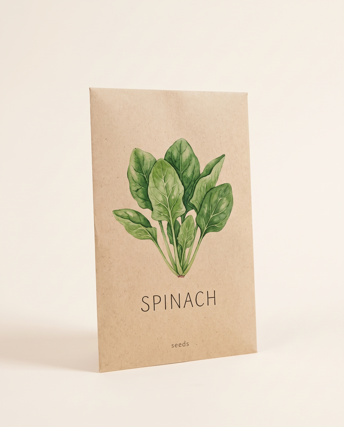 Organic Spinach Seeds 20 g بذور سبانخ عضوية 20 جرام