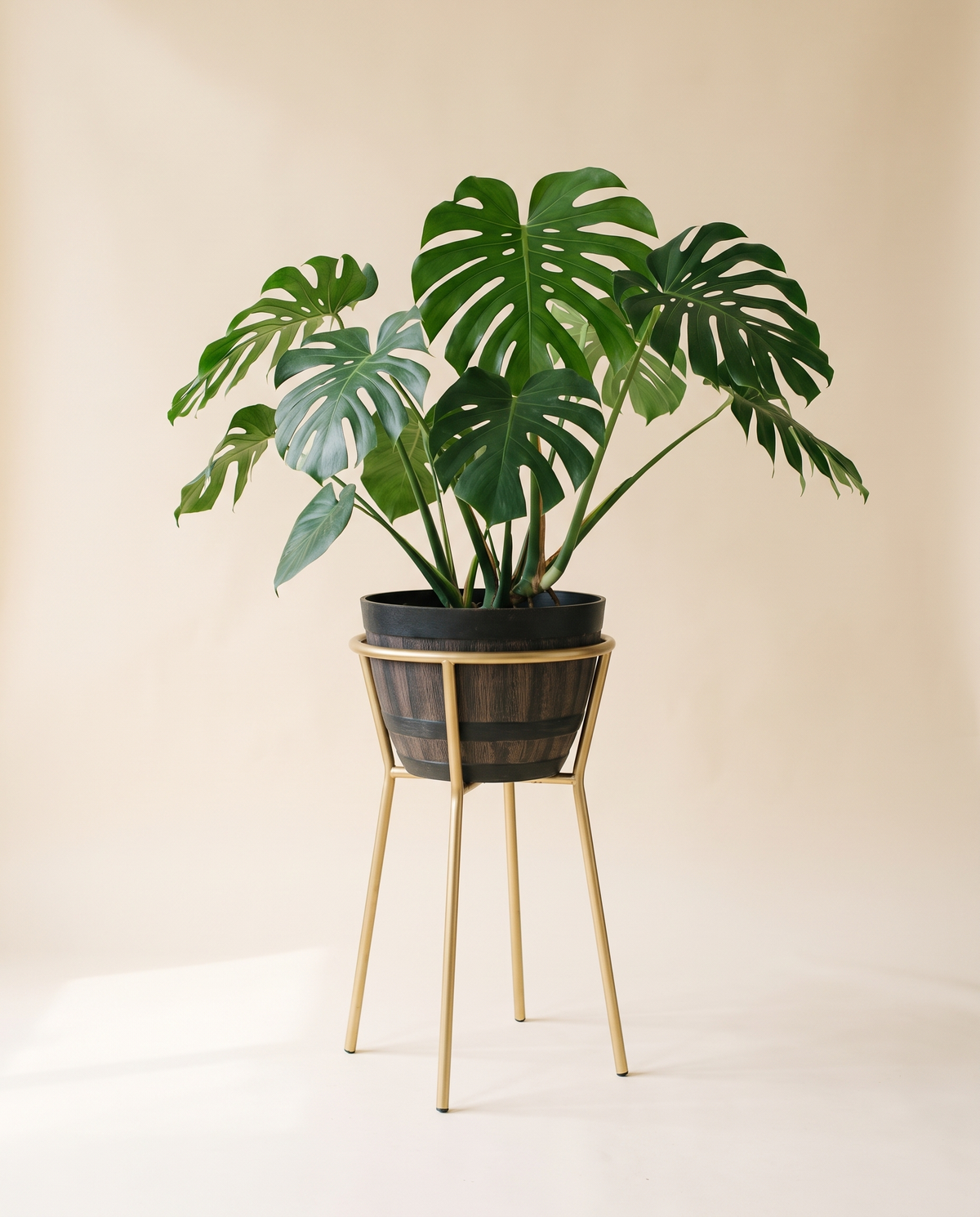Golden plant stand holding a potted monstera