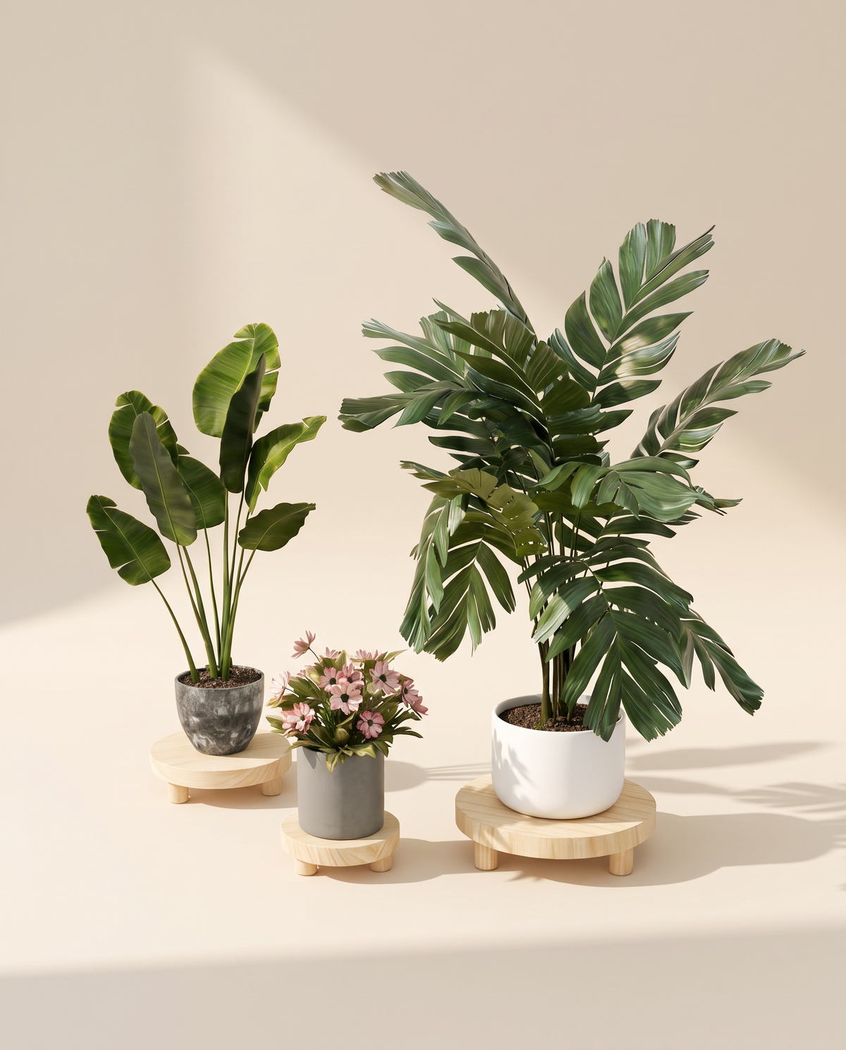 Ash wood risers with three potted plants standing on them