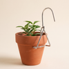 Pot wall clip gripping the rim of a terracotta pot