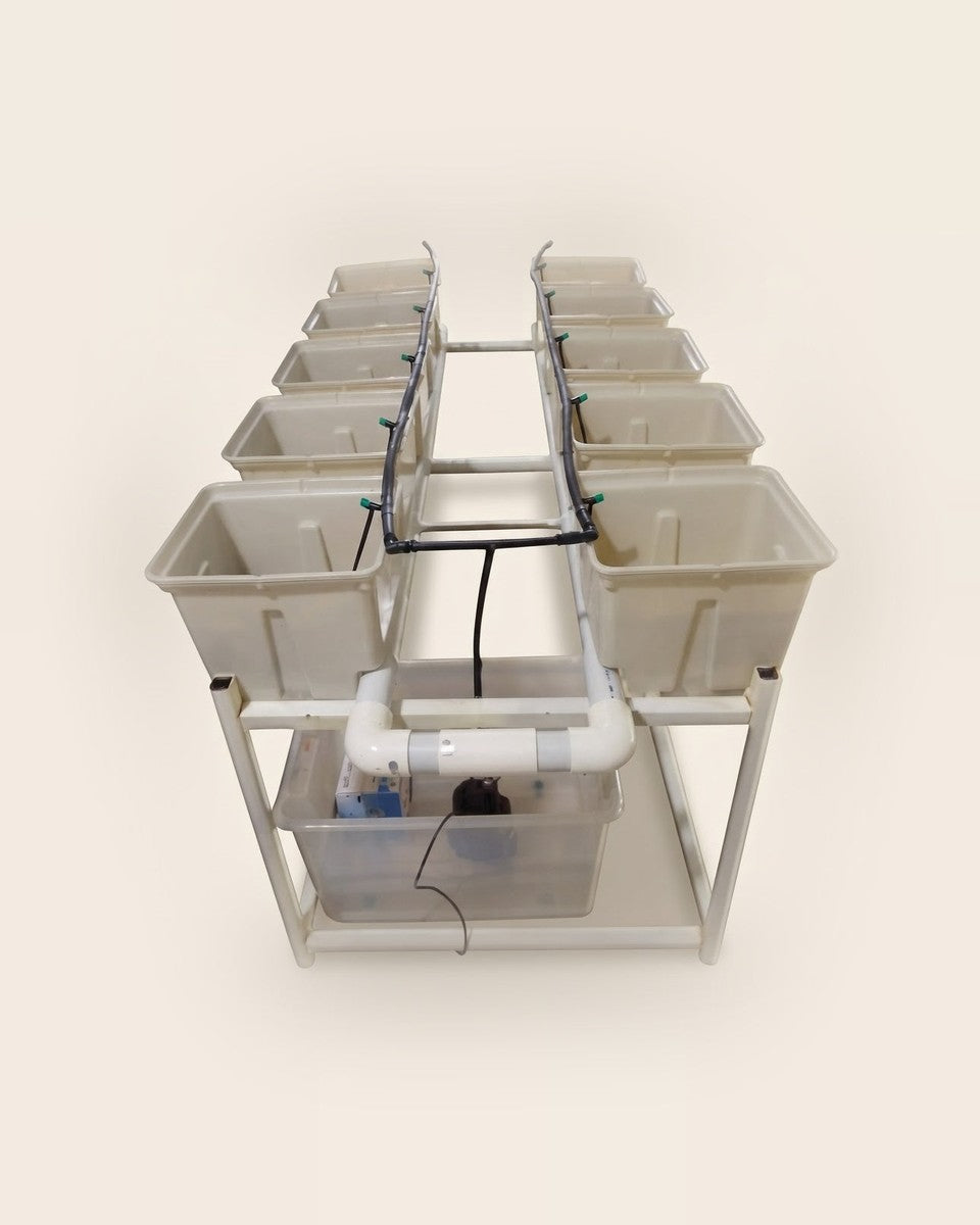 Dutch Bucket Hydroponic System 10 Buckets نظام دتش بوكت