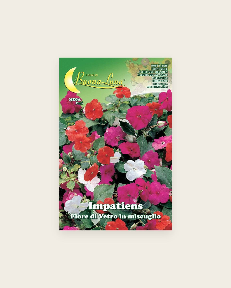 Impatiens 'Busy Lizzie Mix' Seeds إمباتينس (زهرة اللمس) مزيج
