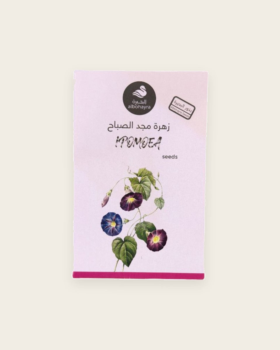 Ipomoea Seeds بذور زهرة مجد الصباح