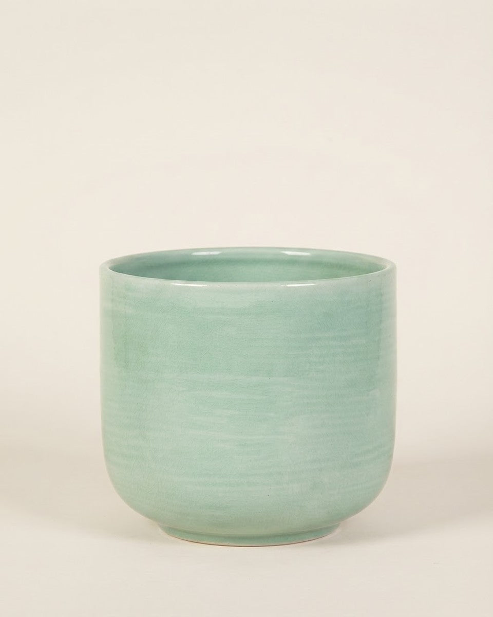 Iris Mint Pot