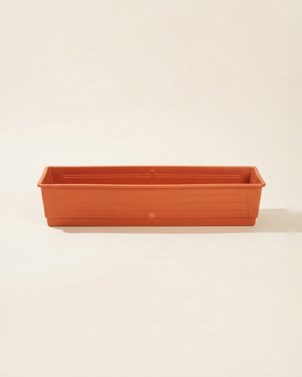 Lebnani Pot 20X80