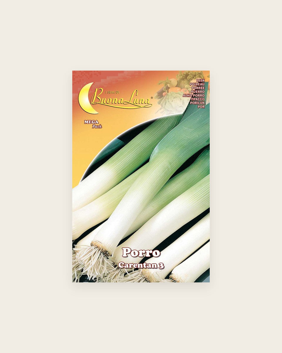 Leek 'Carentan' Seeds كراث كارنتان