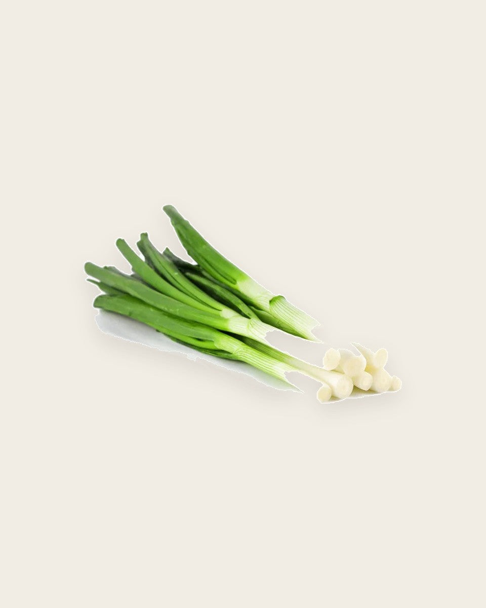 Leek Seeds بذور الكراث