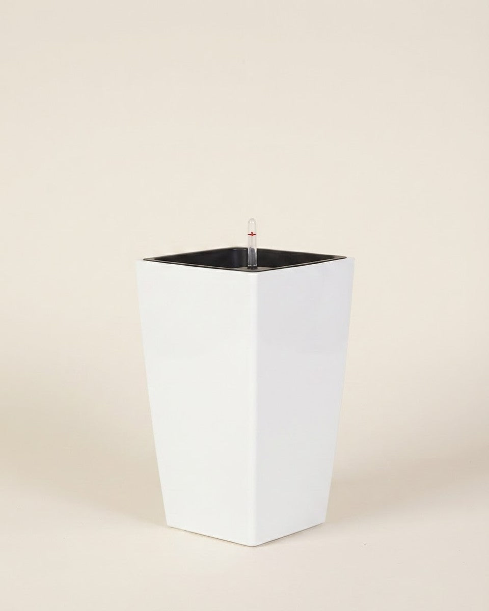 Leizisure Cubico White 39*75