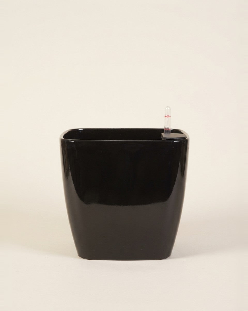 Leizisure Dumpy Square HG 3112/ 27X27X26