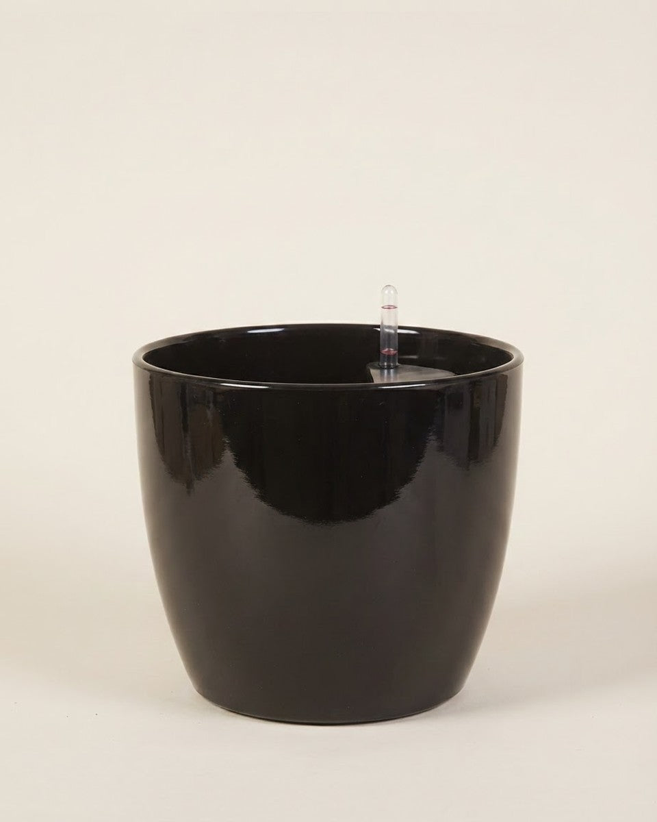 Leizisure Round Black 32*31