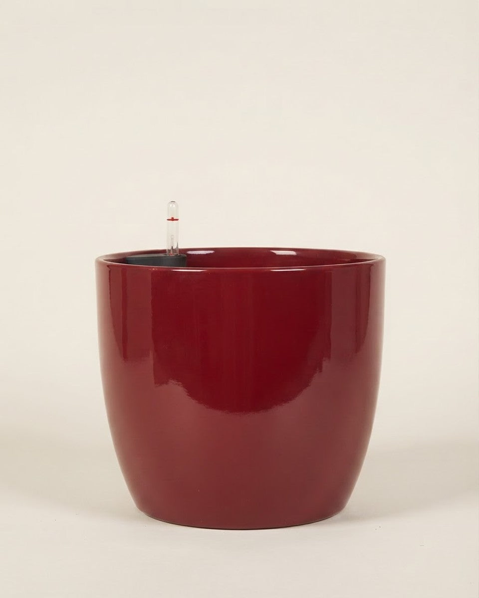 Leizisure Round Red 32*31